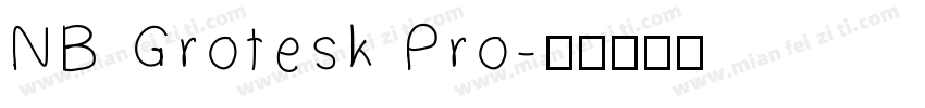 NB Grotesk Pro字体转换